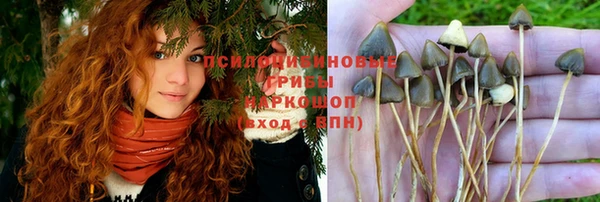 гидропоника Зеленокумск